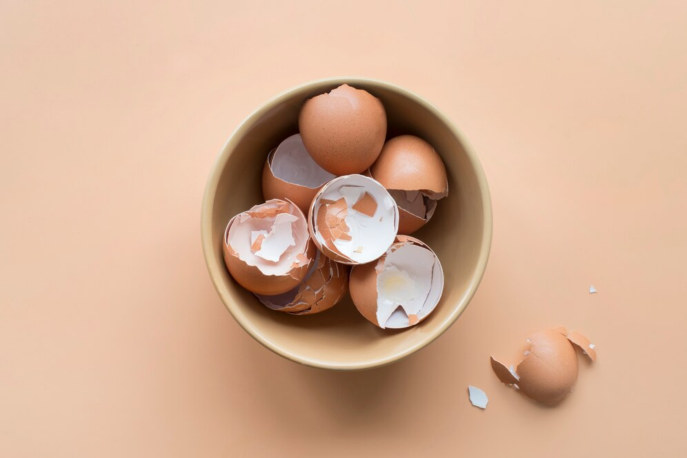 What Plants Don't Like Eggshells